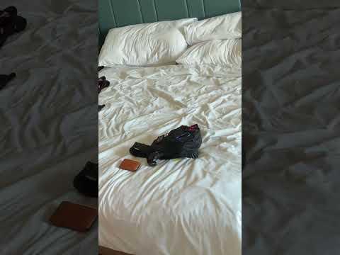 Riptide Swimsuit Fit Check: Speedo vs. Square Cut #shorts