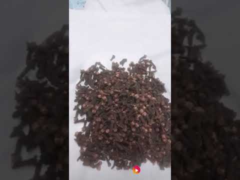 فوائد القرنفل العويدي 