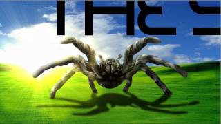 Speed Art | The Spider by MattyJay  (PredistratArt Entry)
