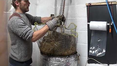 Straw Pasteurization for Mushroom Cultivation