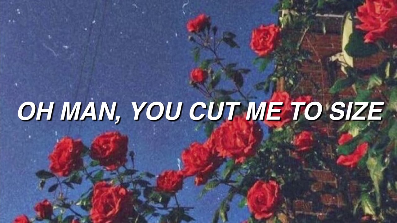 Jack Stauber Buttercup Lyrics YouTube