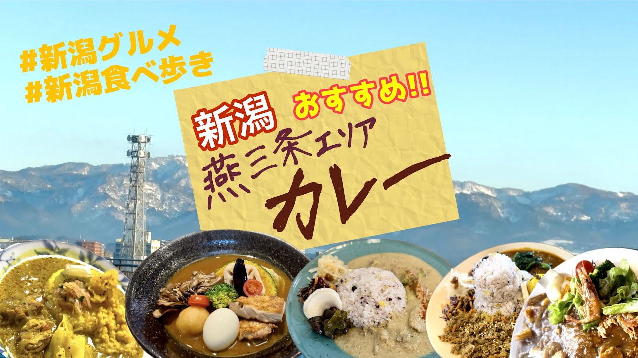 新潟食べ歩き｜燕三条近辺のカレー屋さん巡り🍛｜スリランカカレー、スープカレー、創作カレー、THE日本のカレー、カツカレーあ〜また食べたい！　#燕三条  #新潟グルメ  #カレー