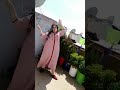 الشيخة اسية دبدوبة الشيخة اسية دبدوبة