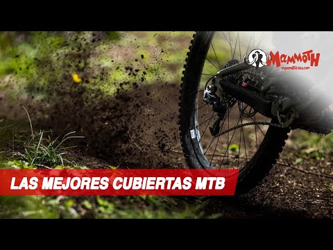 Como escolher pneus de MTB: guia definitivo 2/2