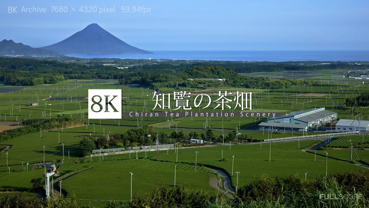 [8K footage] Chiran Tea Plantation Scenery【知覧の茶畑_8K】