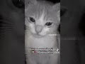 ٢٩ يونيو ٢٠٢١ ٢٩ يونيو ٢٠٢١