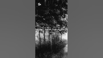 ( وأنزلنا من السماء ماءً طهوراً.../ سورة الفرقان 📗 )#قرأن #قرأن_كريم #تلاوة #تلاوة_خاشعة