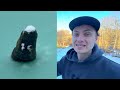 Beginning of video