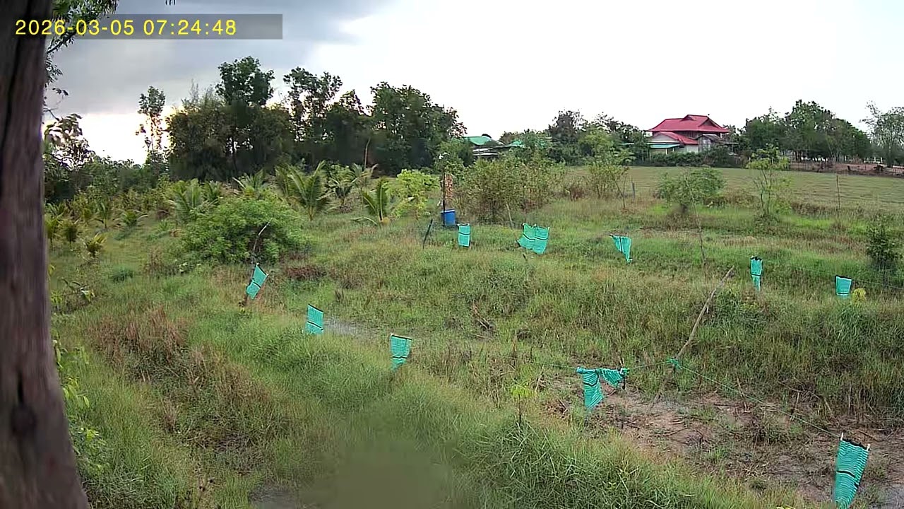 UBox 2026 03 05 072441 3 137