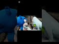 ep4 vs choas-sonic plush hyper ruby