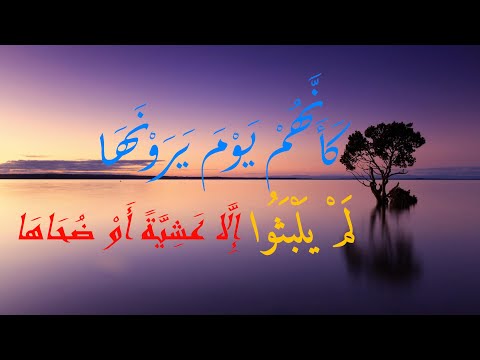 كأنهم يوم يرونها لم يلبثو إلا عشية أو ضحاها