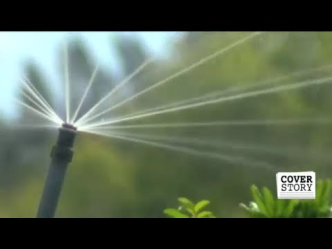 City of Fort Myers limiting lawn watering to once per week
