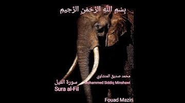 تلاوة المعلم محمد صديق المنشاوي  🌷سورة الفيل🌷