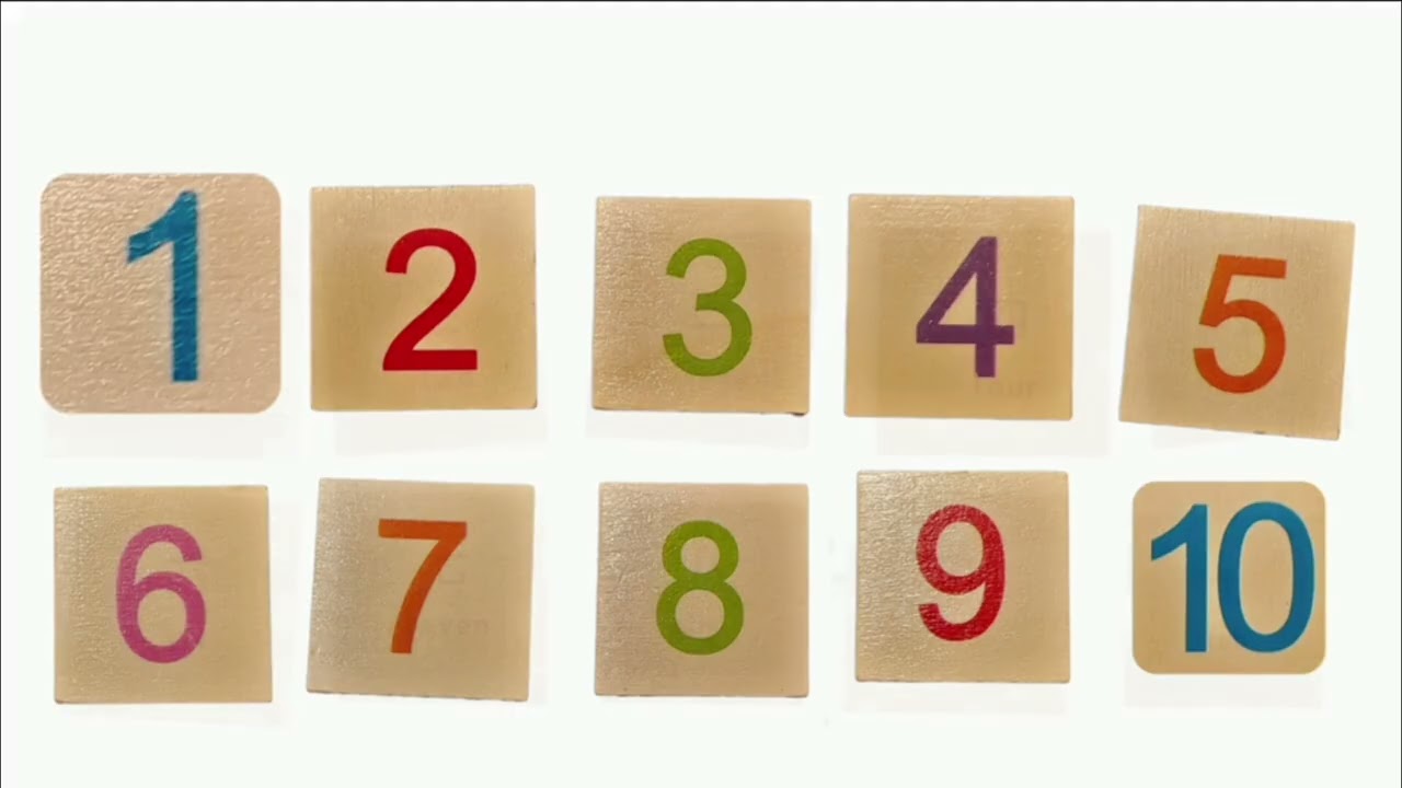 VOCABULARY KIDS COMPLATION PART 1 LESSON 1