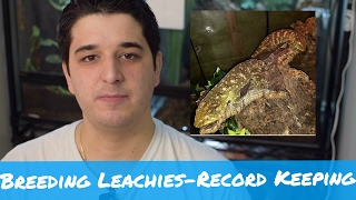 Breeding Leachianus- Importance of Record Keeping