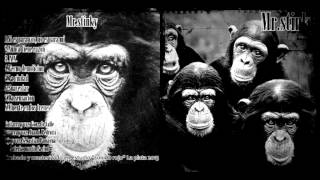 Mr Stinky Tecnodemolicion