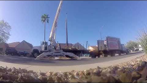 3 Mexican Fan Palms Removed With Crane