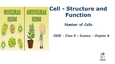 Class 8- Science-Chapter 8 – Cell : Structure And Function -Part03- Number of Cells #NCERT #Kannada