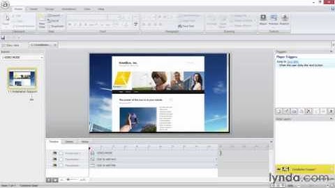 Articulate Storyline Advanced Techniques lecture 33