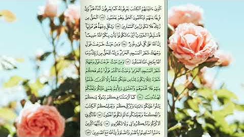 سورة البقرة من الآية 126 إلى الآية 169 #القرآن #راحةنفسه