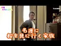 【沖縄あの人この人】名護に桜を見に行く家族