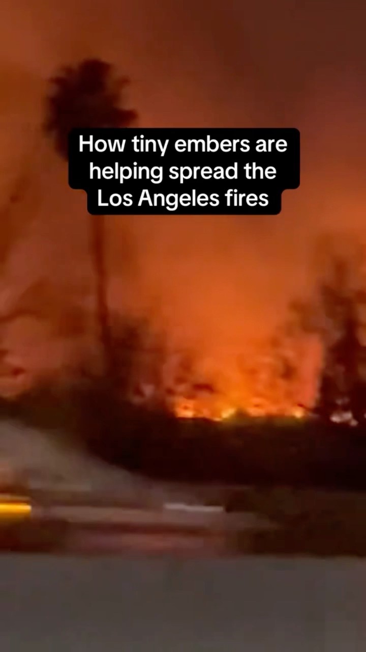 How tiny embers are helping spread the Los Angeles wildfires #shorts