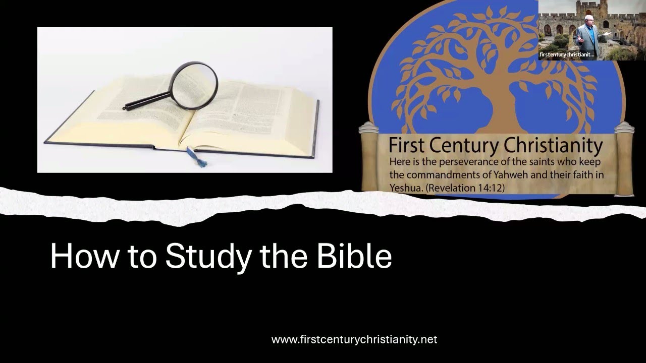 ⁣How to Study the Bible