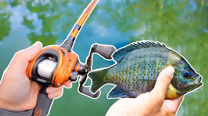 Catching HUGE Fish on GIANT Bluegill (Livebait Fishing)