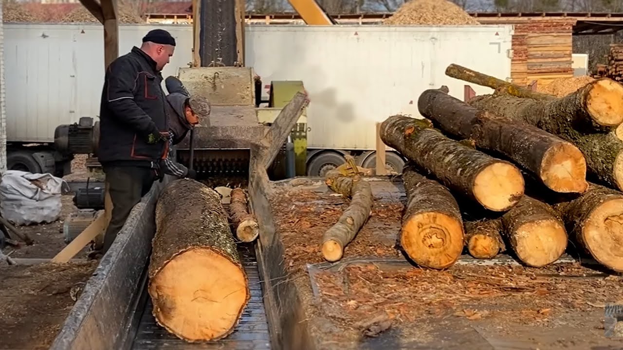 BRUTAL Shredder Vs THICK Log Wood Chips.