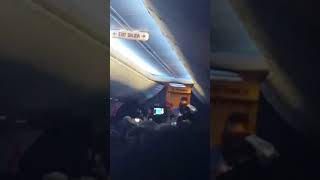 Passengers Watch Couples' 'Marriage Ceremony' on Newark-Bound Flight Passengers Watch Couples' 'Marriage Ceremony' on Newark-Bound Flight