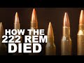 Cartridges That Killed the 222 Remington