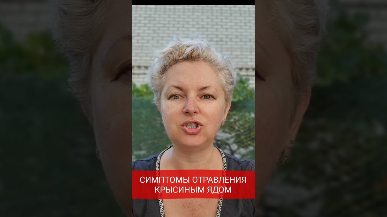 могут ли собаки отравиться?