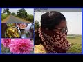 Bengali vlog  life after 14 days of lock down       village lifestyle vlog
