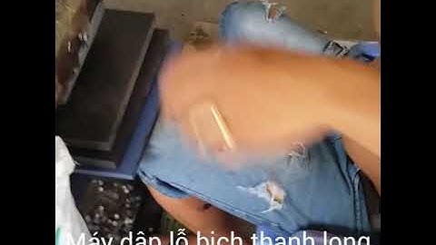 Máy đục lỗ bịch thanh long.