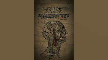 #قران_كريم #المنشاوي #الوطن_العربي #سورة_ق #مسلم #quran #quran_kareem #islam #islamic #muslim