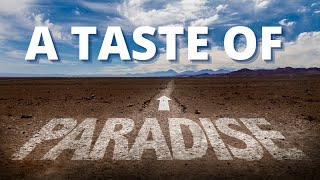 KI TAVO - A TASTE OF PARADISE