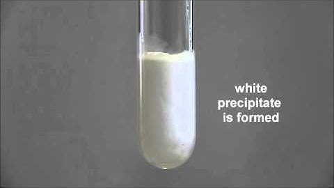 Test for Cation: Test for Lead (II) ion with Aqueous Ammonia