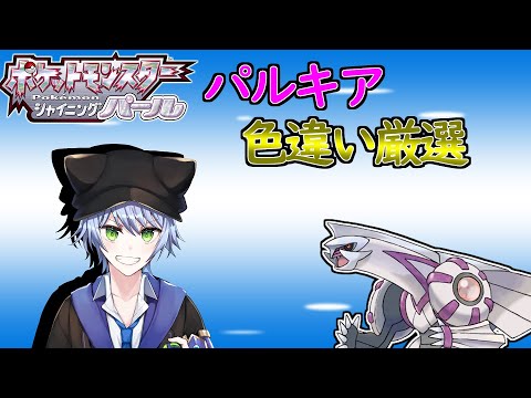 【ポケモン/シャイニングパール】少しさぼっちゃったけど、苦行のパルキア色違い厳選するよ【Vtuber】