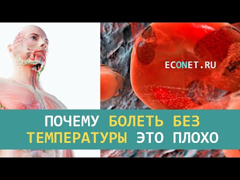 Почему болеть без температуры - плохо | ECONET.RU