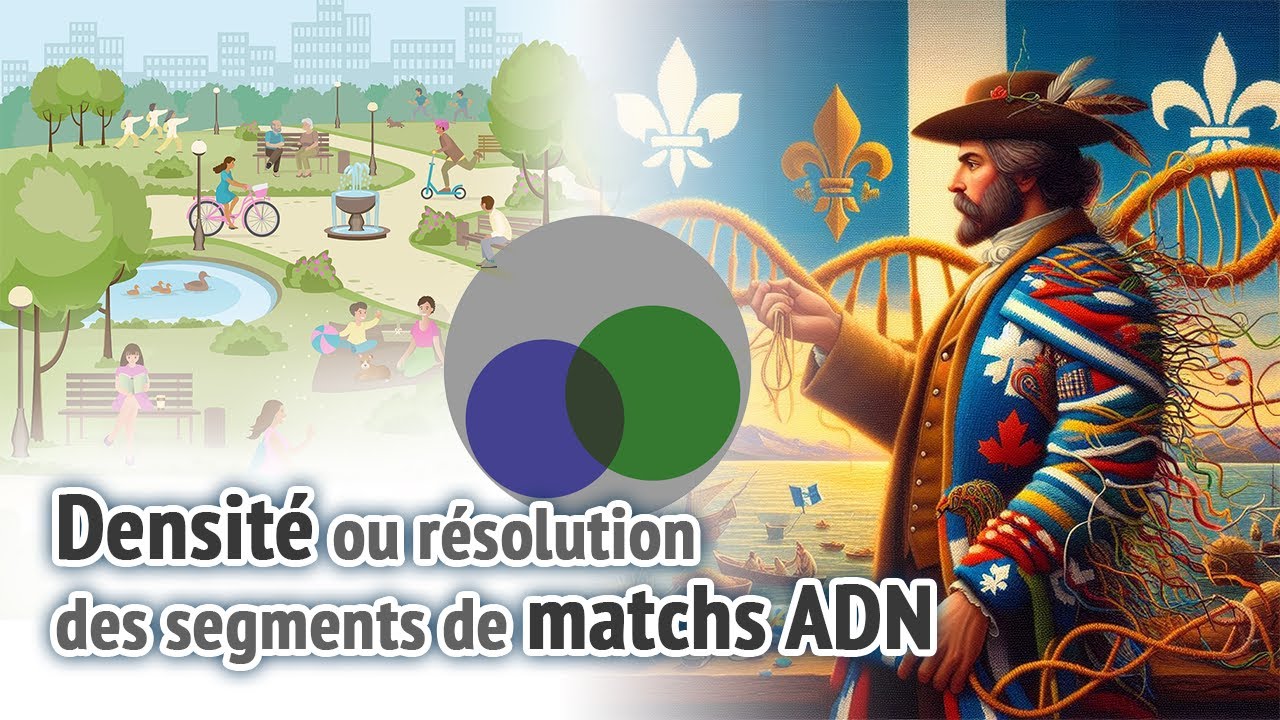 Densité des segments de matchs ADN