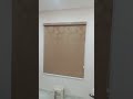 window blinds|curtains
