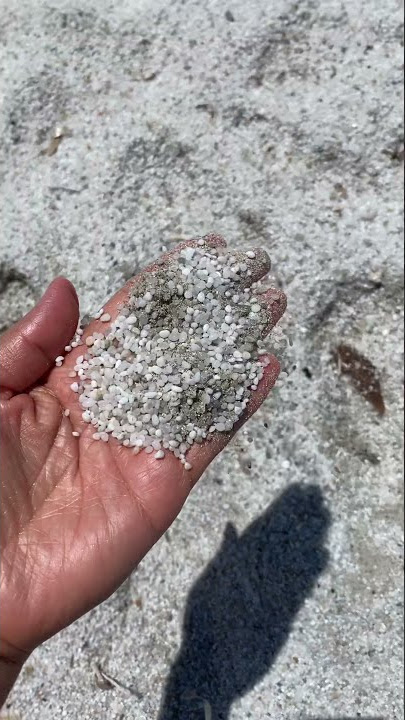 Pantai dengan pasir putih seperti butiran beras‼️