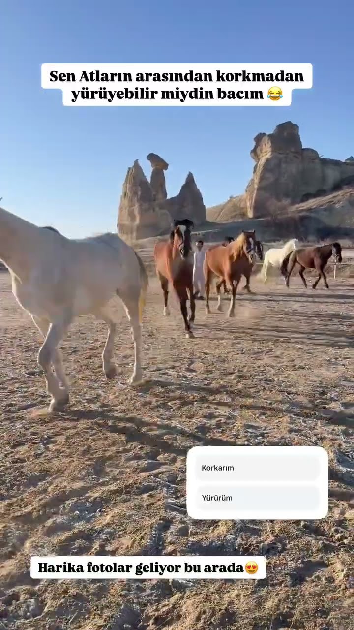 Sen atların arasından korkmadan yüriyebilir miydin bacım ??