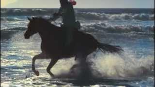 Download lagu Francis Goya - Concierto De Aranjuez.