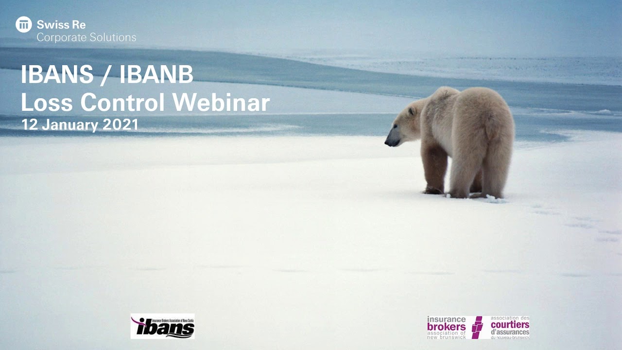 IBANS IBANB Loss Control Webinar