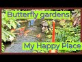 Victoria Butterfly Gardens, Stroll down memory lane, #grief #solo #senior #butterfly