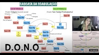 Hemostasia Secundária - Cascata da Coagulação