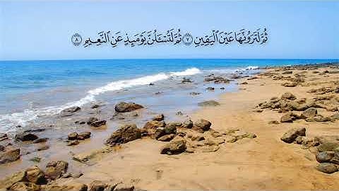 سورة التكاثر بصوت ادريس ابكر