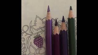 How to colour a blackberry