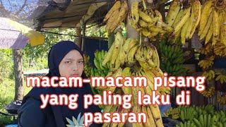 inilah jenis pisang yang paling laku di pasaran | khusus pasar lokal